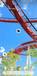 No White Flag Android Screenshot 4